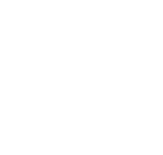 Water repellent